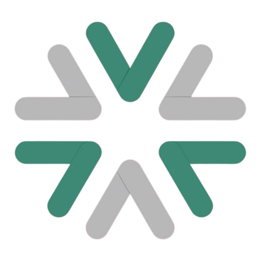 Venus Solutions Logo